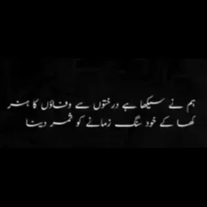 2 line Poetry in urdu