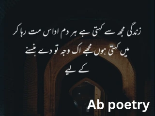 shero shayari