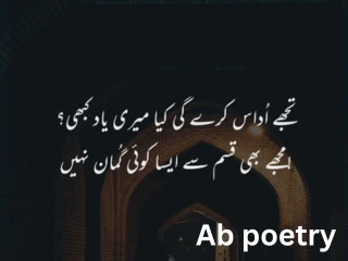 shero shayari