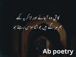 shero shayari