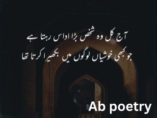 shero shayari