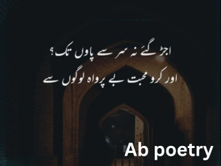 shero shayari