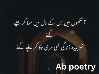 shero shayari