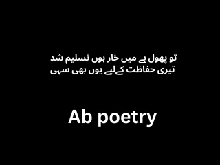 Urdu Poetry Text with Pics