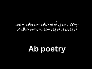 Urdu Poetry Text with Pics