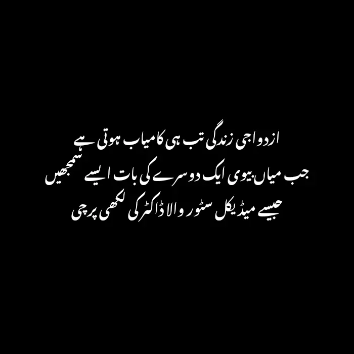 Funny Poetry in Urdu
