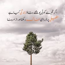top motivational quotes in urdu 